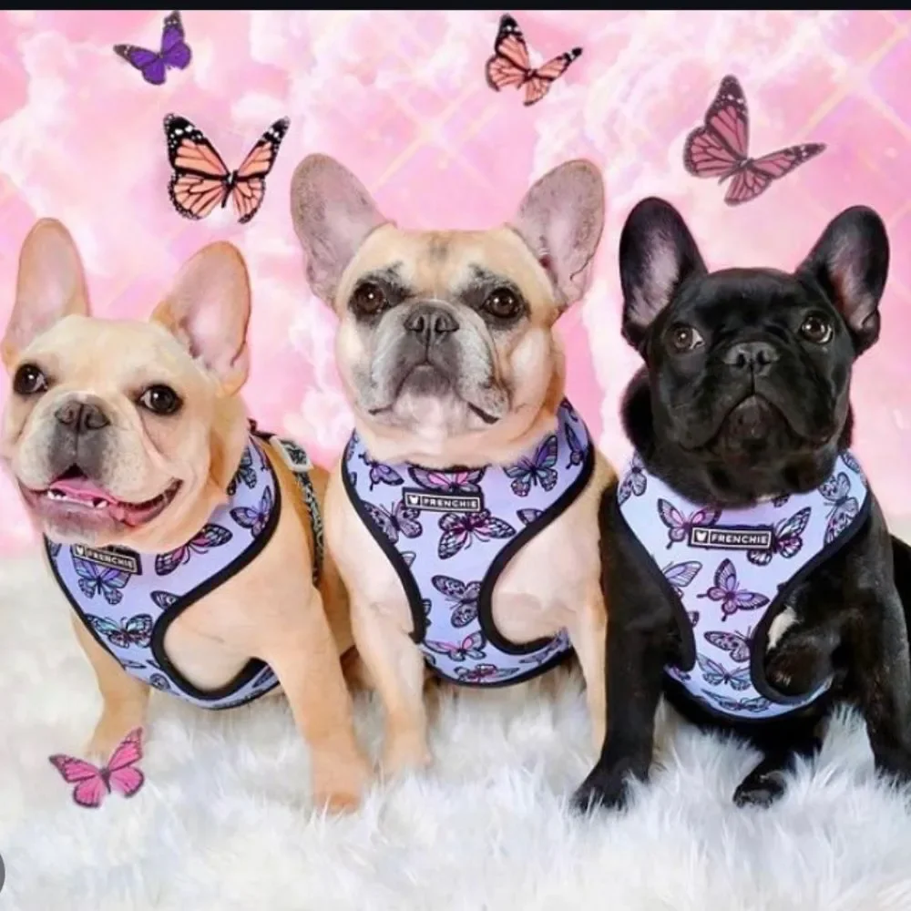 Frenchie harness butterfly Print